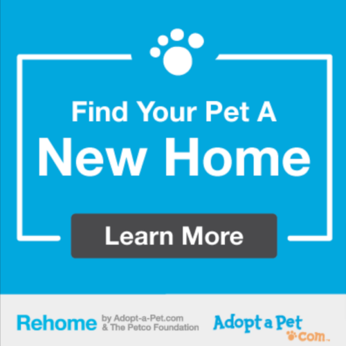 rehome