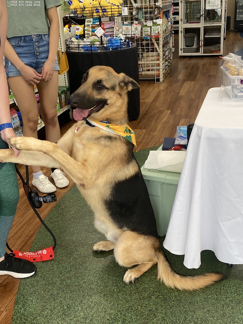 meet and greet